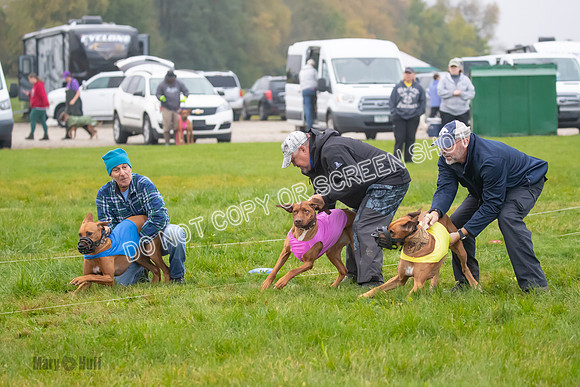 Prelim, Specials 1, Zayin-Apple Pie-Jinx-6894