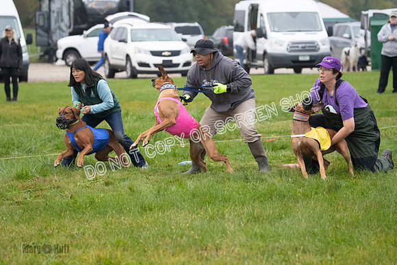 Prelim, Specials 2, Tori-Taya-Mellee-6962