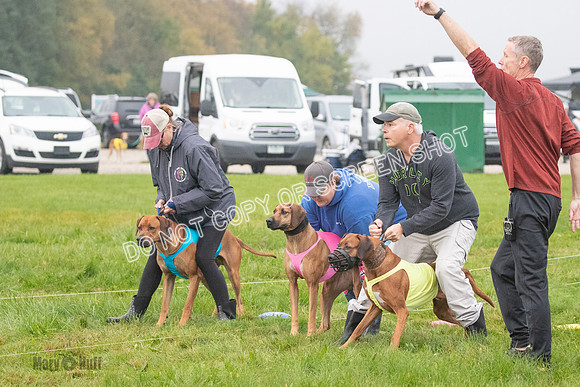 Prelim, Specials 2, Reilly-Scrappy Coco- Asa-7020