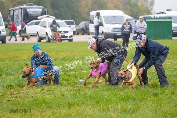Prelim, Specials 1, Zayin-Apple Pie-Jinx-6895