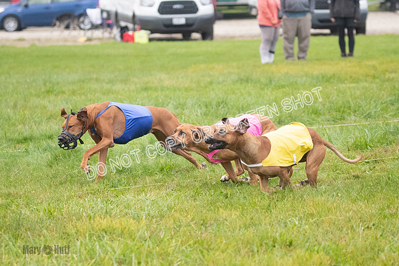 Prelim, Specials 2, Tori-Taya-Mellee-6977