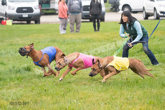Prelim, Specials 2, Tori-Taya-Mellee-6975