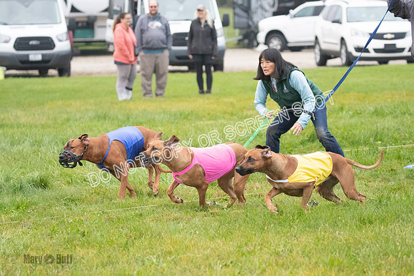 Prelim, Specials 2, Tori-Taya-Mellee-6974