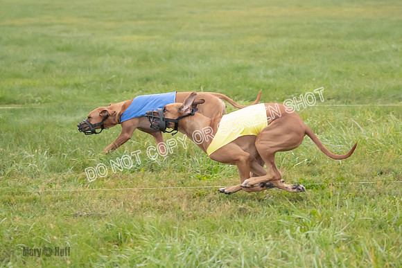 Prelim, Specials 1, Zayin-Apple Pie-Jinx-6909