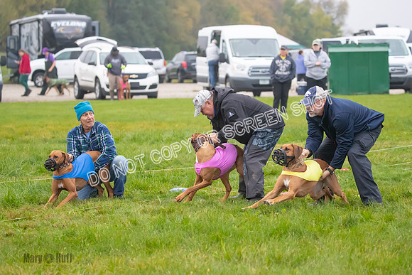 Prelim, Specials 1, Zayin-Apple Pie-Jinx-6892