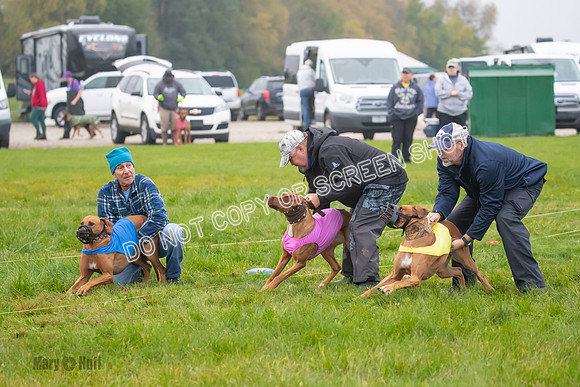 Prelim, Specials 1, Zayin-Apple Pie-Jinx-6893