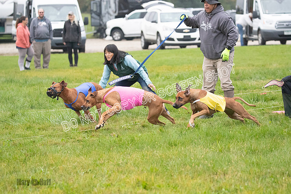 Prelim, Specials 2, Tori-Taya-Mellee-6971