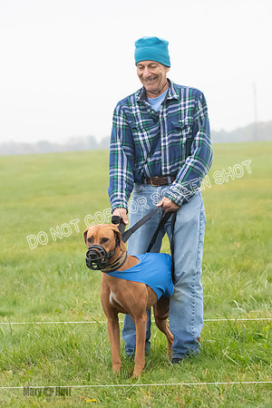 Prelim, Specials 1, Zayin-Apple Pie-Jinx-6887