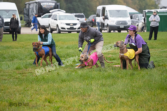 Prelim, Specials 2, Tori-Taya-Mellee-6959