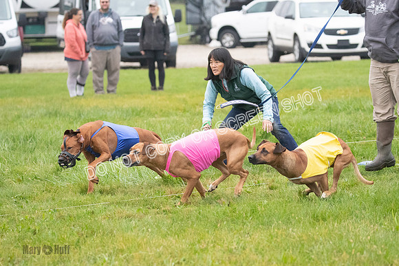 Prelim, Specials 2, Tori-Taya-Mellee-6973