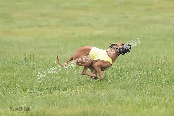 Prelim, Specials 1, Zayin-Apple Pie-Jinx-6940
