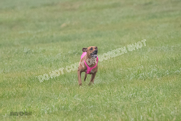 Prelim, Specials 2, Tori-Taya-Mellee-7001