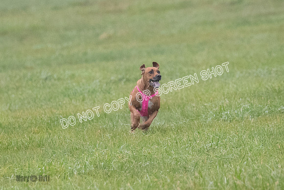 Prelim, Specials 2, Tori-Taya-Mellee-7002