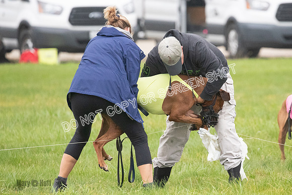 Prelim, Specials 2, Reilly-Scrappy Coco- Asa-7108
