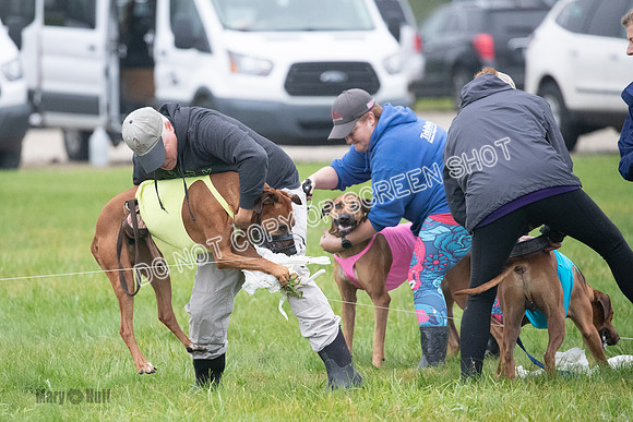 Prelim, Specials 2, Reilly-Scrappy Coco- Asa-7092