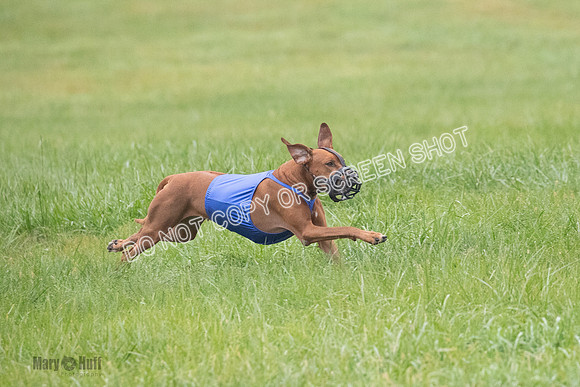 Prelim, Specials 2, Tori-Taya-Mellee-7011