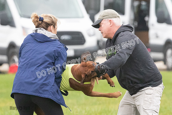 Prelim, Specials 2, Reilly-Scrappy Coco- Asa-7119