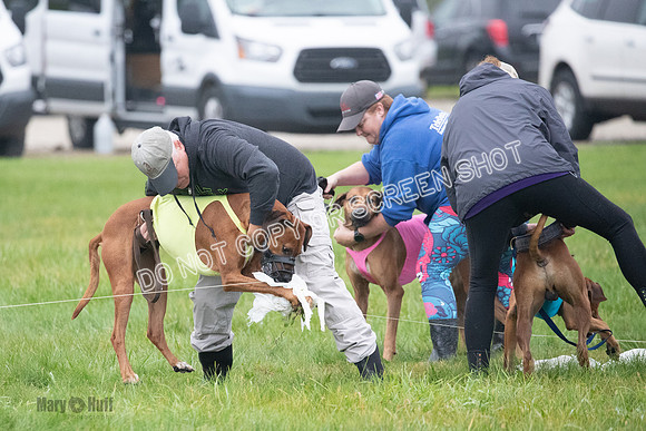 Prelim, Specials 2, Reilly-Scrappy Coco- Asa-7090
