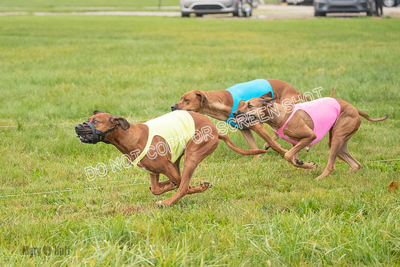 Prelim, Specials 2, Reilly-Scrappy Coco- Asa-7046