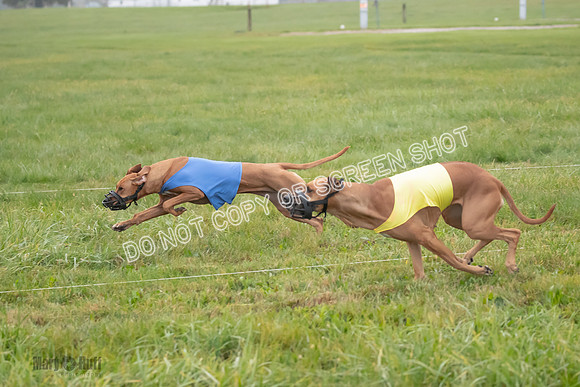 Prelim, Specials 1, Zayin-Apple Pie-Jinx-6908