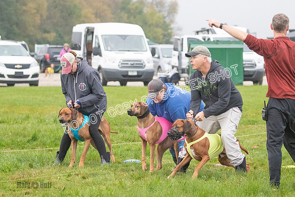 Prelim, Specials 2, Reilly-Scrappy Coco- Asa-7024