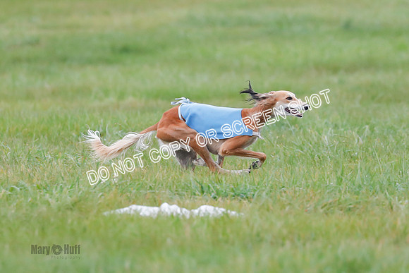 Final, Special 1, Mia-Syan-Caldera-8971