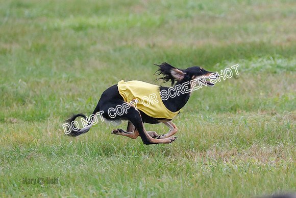 Final, Special 2, Tessa-Xavier-9018
