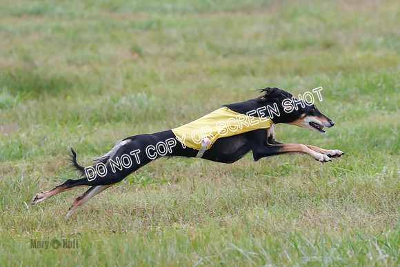 Final, Special 2, Tessa-Xavier-9020