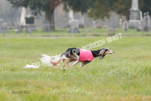 Final, Special 2, Tessa-Xavier-9027