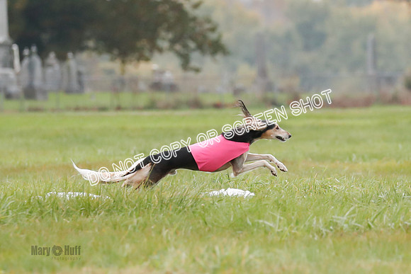 Final, Special 2, Tessa-Xavier-9029