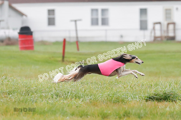 Final, Special 2, Tessa-Xavier-9038
