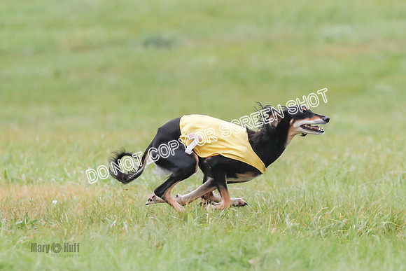 Final, Special 2, Tessa-Xavier-9044