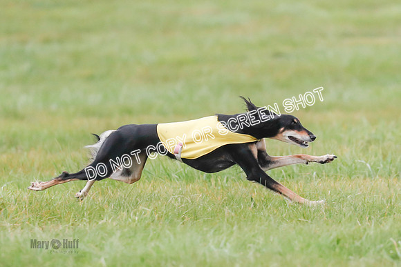Final, Special 2, Tessa-Xavier-9047