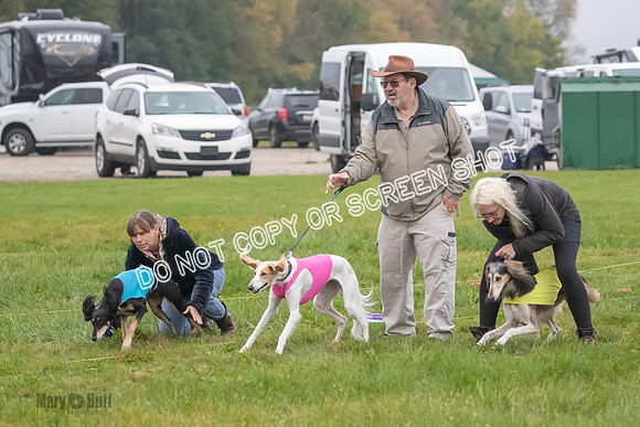 Prelim, Special 1, Xavier-Mia-Tessa-7467