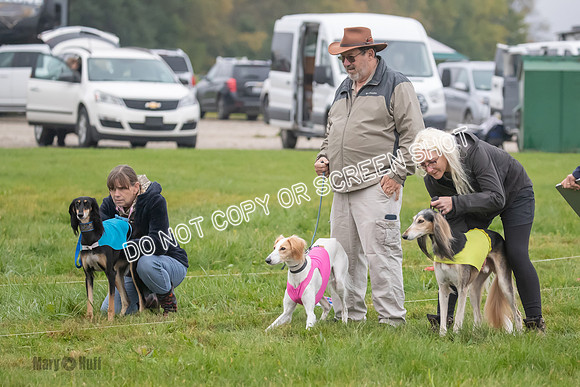 Prelim, Special 1, Xavier-Mia-Tessa-7463