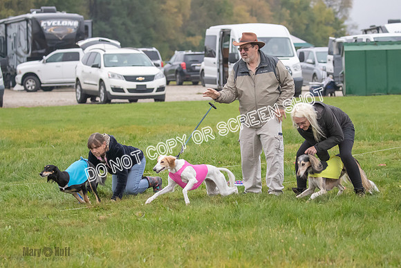 Prelim, Special 1, Xavier-Mia-Tessa-7469