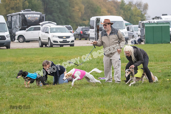 Prelim, Special 1, Xavier-Mia-Tessa-7470