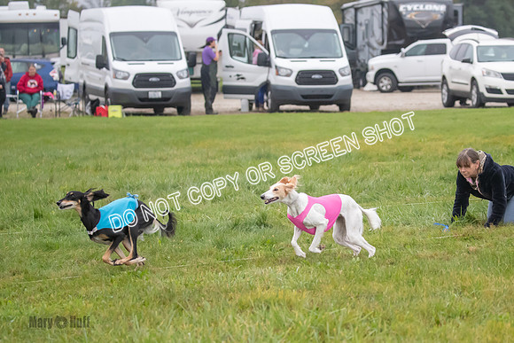 Prelim, Special 1, Xavier-Mia-Tessa-7474