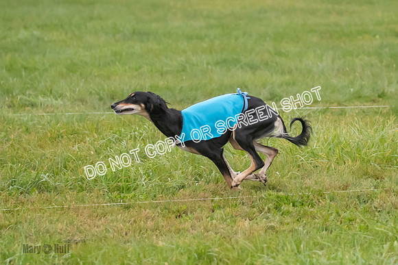 Prelim, Special 1, Xavier-Mia-Tessa-7481