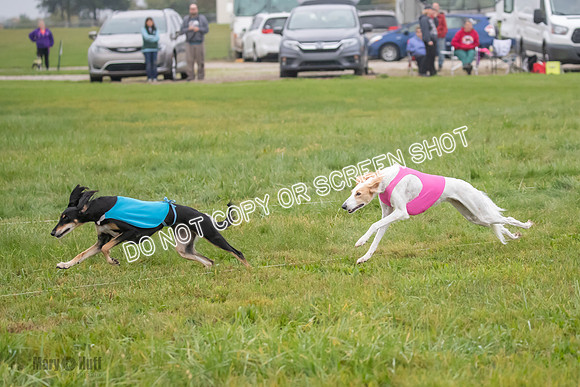 Prelim, Special 1, Xavier-Mia-Tessa-7479