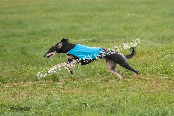 Prelim, Special 1, Xavier-Mia-Tessa-7483