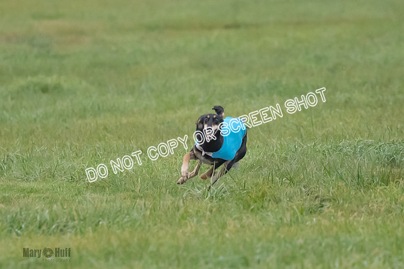 Prelim, Special 1, Xavier-Mia-Tessa-7497