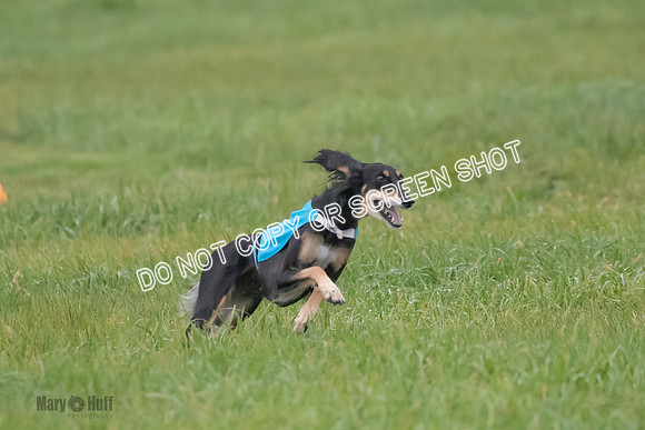 Prelim, Special 1, Xavier-Mia-Tessa-7506