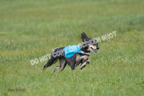 Prelim, Special 1, Xavier-Mia-Tessa-7507