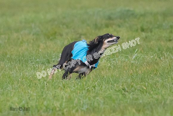 Prelim, Special 1, Xavier-Mia-Tessa-7508