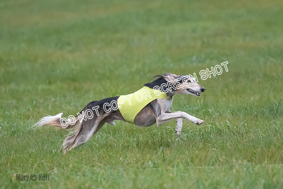 Prelim, Special 1, Xavier-Mia-Tessa-7512