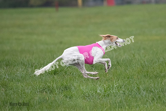 Prelim, Special 1, Xavier-Mia-Tessa-7523