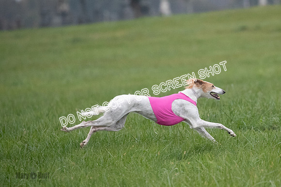 Prelim, Special 1, Xavier-Mia-Tessa-7526