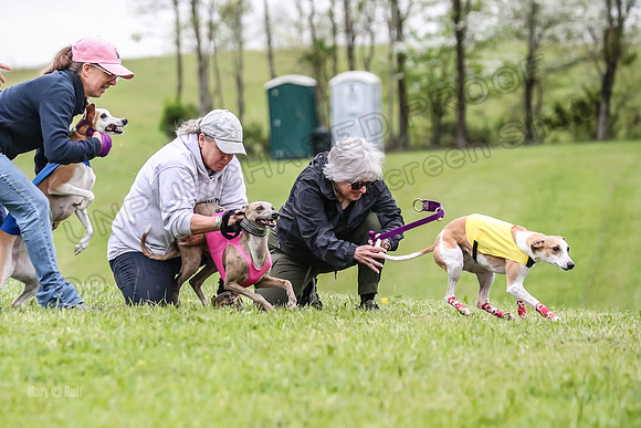 Prelim Open E2, Riddle Finely Scarlet-4823