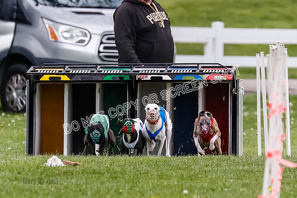 NOTRA Program 4, Race 1, Warrior Barley Flair Victor-2-5